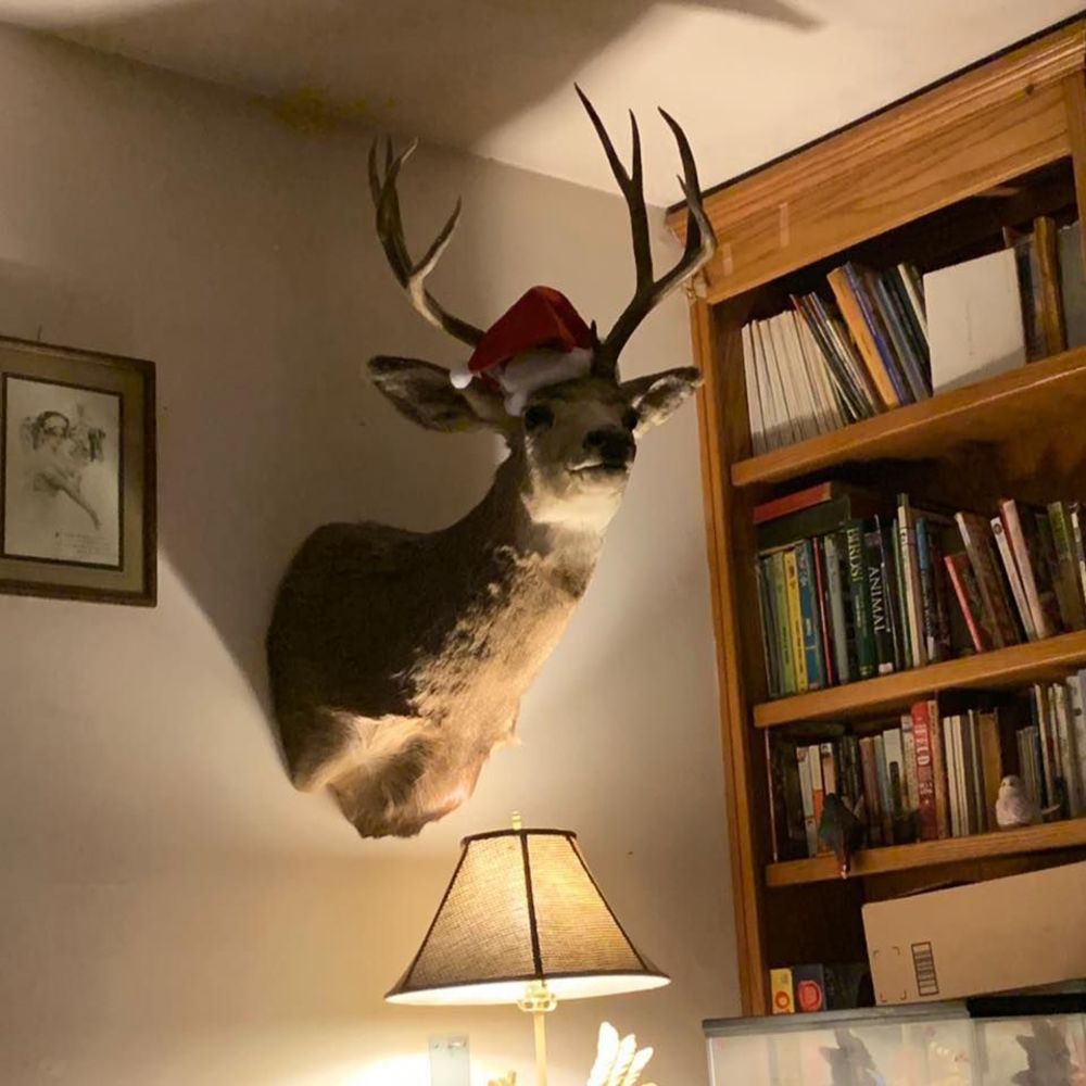 Meet your Posher, Martha